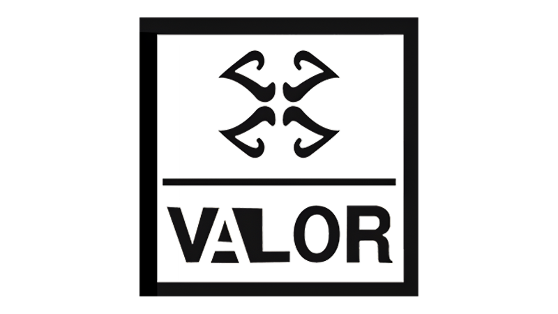 فالور VALOR