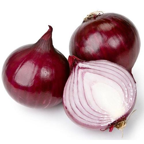 بصل احمر امريكي