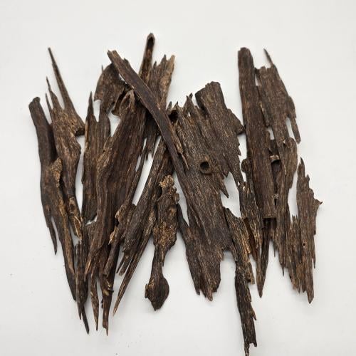 هندي ناغلاند