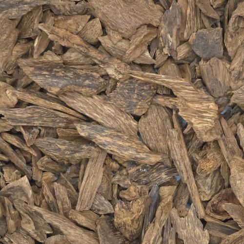 دقة  عود مالينو قديمة