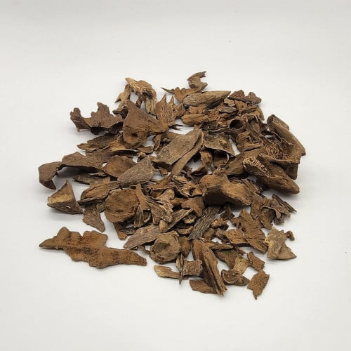 عود سيلاني يومي