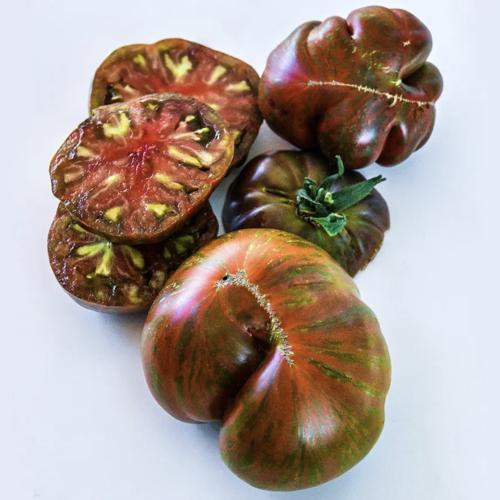 طماطم كبيرة الخنزير البري - Large Barred Boar Tomato
