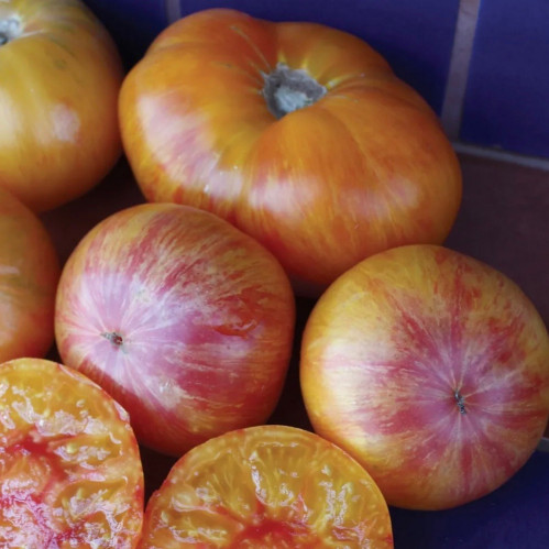 طماطم بيف ستيك أصفر مخطط - Pattys Yellow Striped Beefsteak Tomato