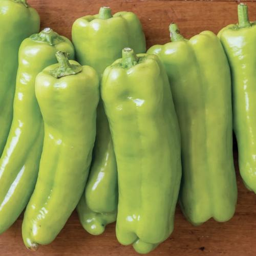 فلفل حلو سالي الطويلة - Long Tall Sally Sweet Pepper