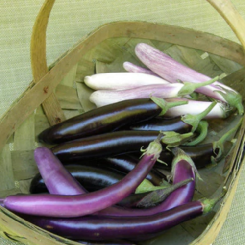 مكس باذنجان آسيوي - Asian Trio Eggplants