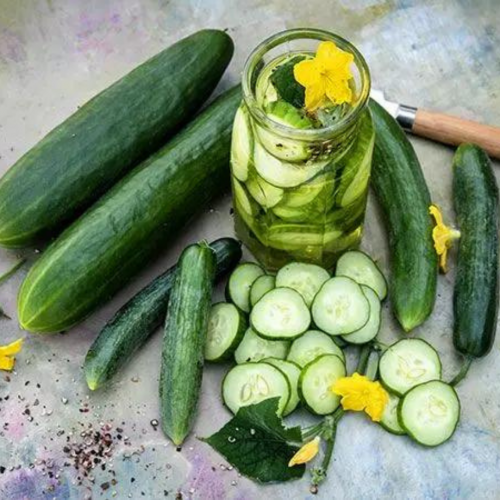 خيار بيتا ألفا - Beit Alpha Cucumber