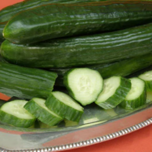 خيار انقليزي جائزة تشيلسي - English Cucumber Chelsea Prize