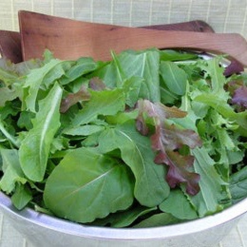 مكس ورقيات سلطة صغيرة إيطالي - Baby Salads Italian Misticanza