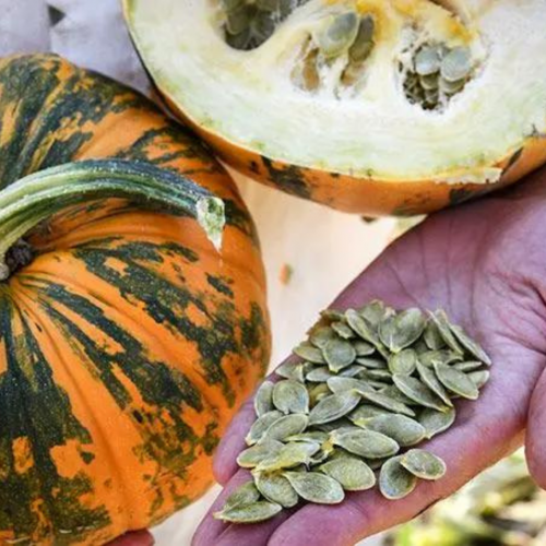 قرع كاكاي - Kakai Squash