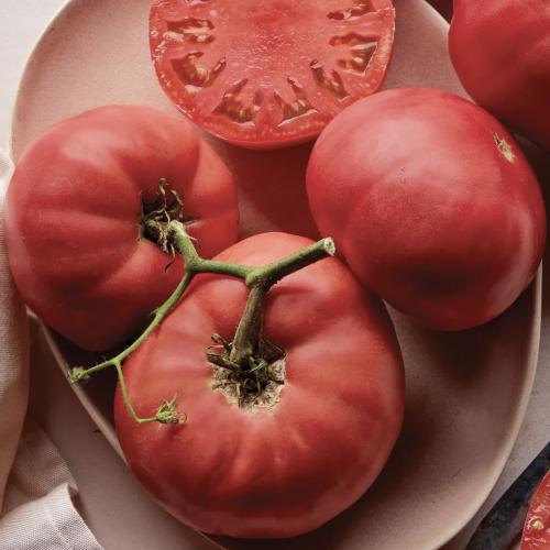 طماطم براندي واين وردي - Brandywine Pink Tomato
