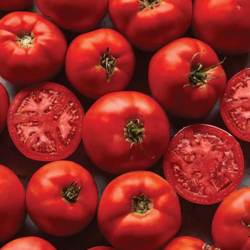 طماطم الولد الكبير - Burpees Big Boy Tomato