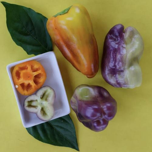 فلفل حلو البقعة - Blot Pepper