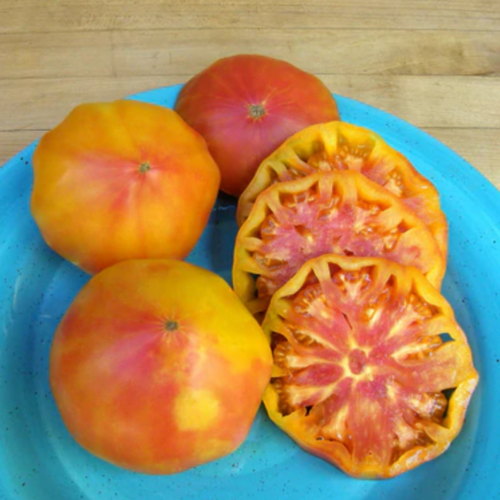 طماطم الأعجوبة المخططة - Marvel Stripe Tomato