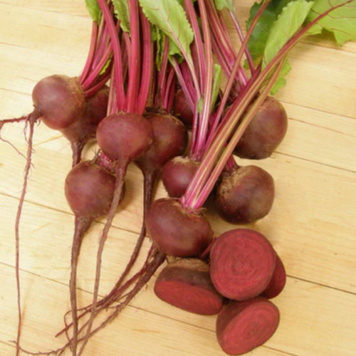 شمندر هولندي صغير - Baby Ball Dutch Beets