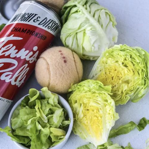 خس كرة التنس - Tennis Ball Lettuce