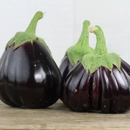 باذنجان السوداء الجميلة - Black Beauty Eggplant