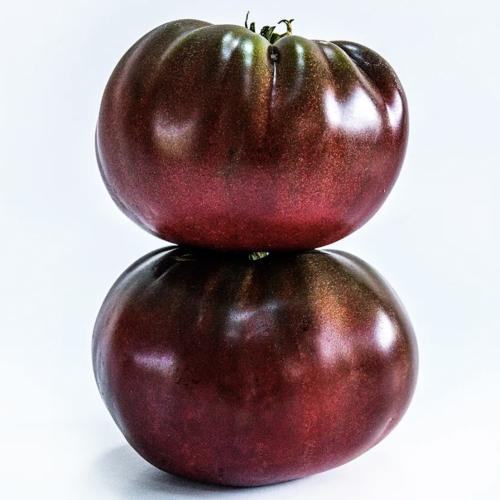 طماطم براندي واين الأسود الحقيقي - True Black Brandywine Tomato