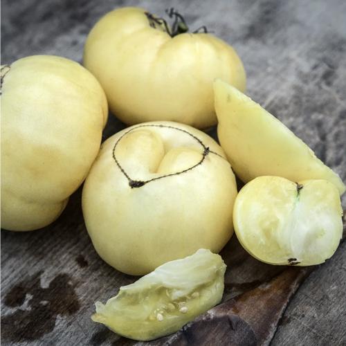 طماطم توميسول البيضاء - White Tomesol Tomato
