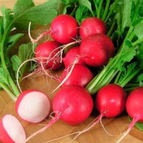 فجل قرمزي مقرمش - Radishes Crimson Crunch