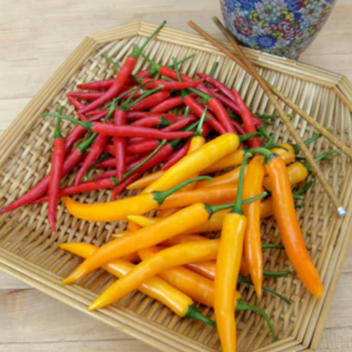 مكس فلفل تايلندي اكتمال القمر والبركان - Full Moon & Vesuvius Thai Chiles