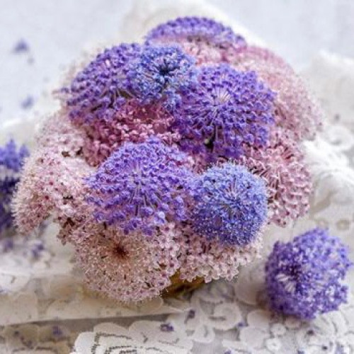 مكس زهرة الدانتيل - Pink and Blue Mix Lace Flower