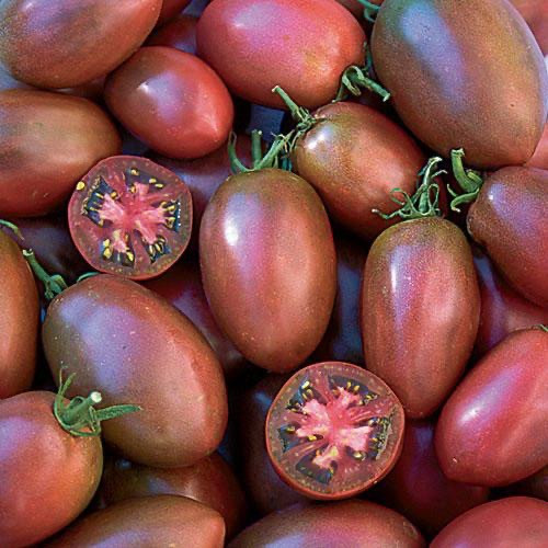 طماطم أوكراني بنفسجي - Ukrainian purple tomato