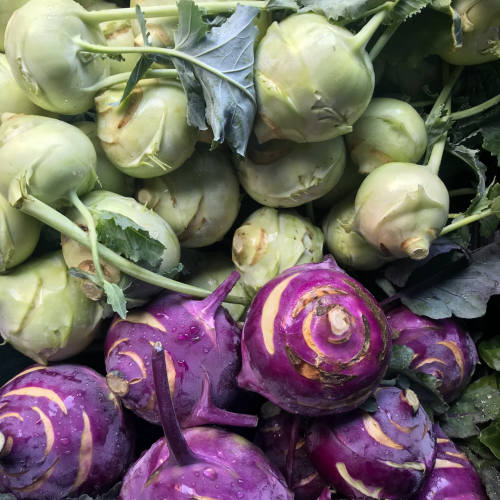 مكس كولرابي - Kohlrabi Crispy Colors Duo