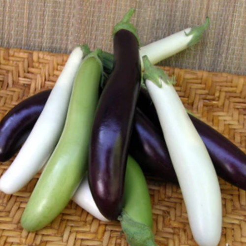 مكس باذنجان آسيوي - Asian Mix Eggplants