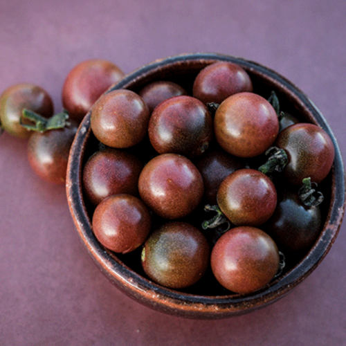 طماطم روزيلا الكرزي - Rosella Tomato