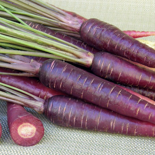 جزر الشمس البنفسجية - Purple Sun Carrots