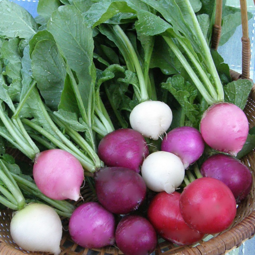 مكس فجل البيض 2 - Rainbow Radishes Easter Egg II