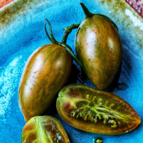 طماطم النمر المحظوظ - Lucky Tiger Tomato