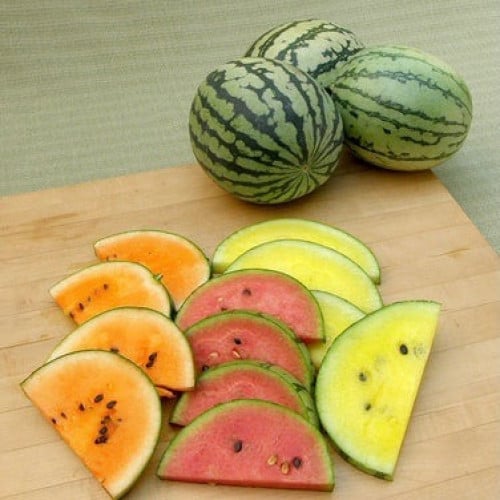 مكس جح قوس المطر - Watermelons Rainbow Sherbet