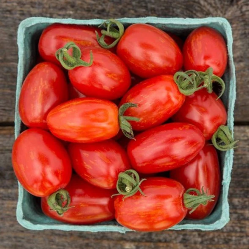 طماطم عنبي الإنفجار النجمي - Supernova Grape Tomato