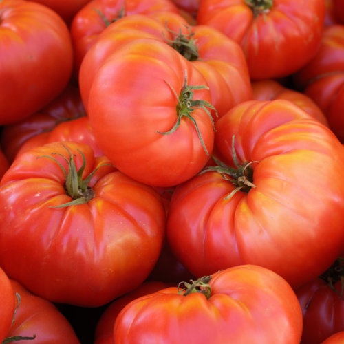 طماطم براندي واين أحمر - Brandywine Tomato