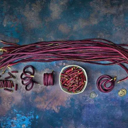 فاصوليا النودلز الصينية الحمراء متسلقة - Yard Long Noodle King Pole Beans