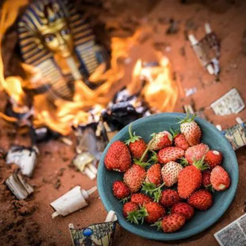 فراولة الإسكندرية - Alexandria Alpine Strawberry