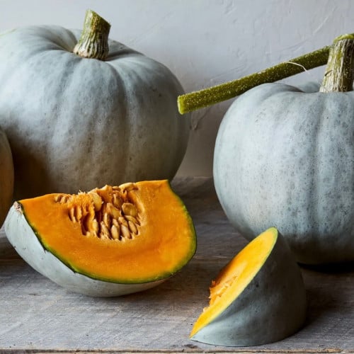 قرع حصاد القمر - Harvest Moon Winter Squash
