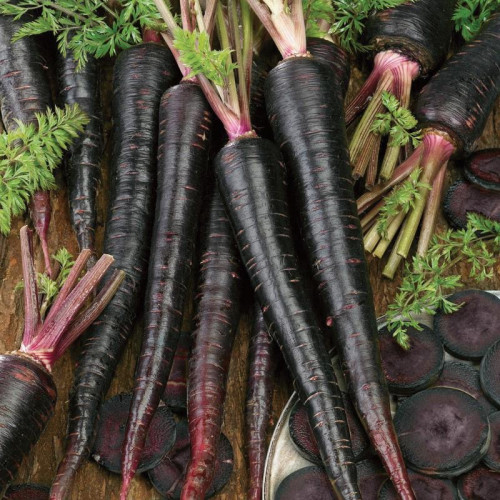 جزر الغيمة السوداء - Black Nebula Carrot
