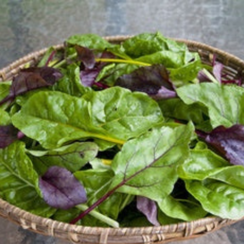 مكس ورقيات صغيرة سلق وشمندر - Greens Renee's Braising Mix