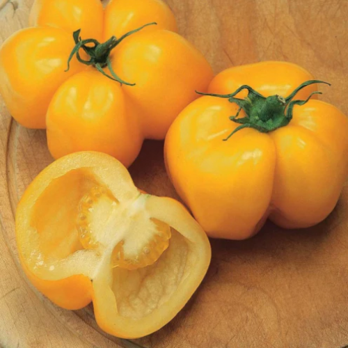 طماطم حشو صفراء - Yellow Stuffer Tomato