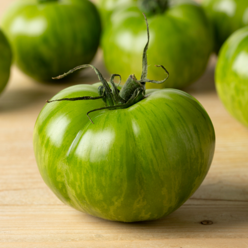 طماطم حمار الوحش الخضراء - Green Zebra Tomato
