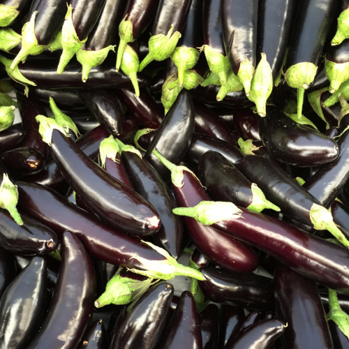باذنجان إيطالي بنفسجي طويل - Italian Eggplant Violetta Lunga