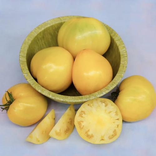 طماطم الملك الذهبي السيبيري -  Golden King of Siberia Tomato