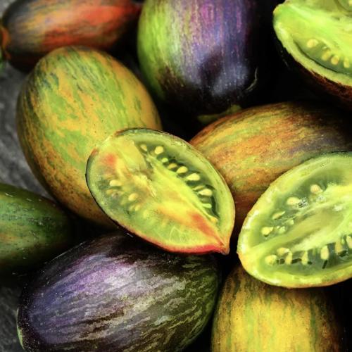 طماطم براد العنبي - Brad's Atomic Grape Tomato