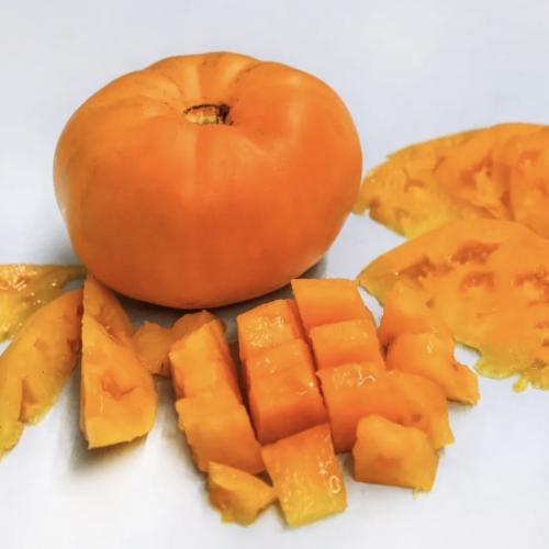 طماطم د.وايتش - Dr. Wyche's Yellow Tomato
