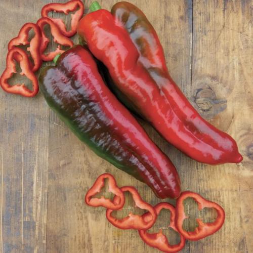 فلفل حلو الصاعقة - Thunderbolt Sweet Pepper