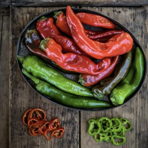 فلفل حلو تكسوريكسرو - Txorixero Sweet Pepper