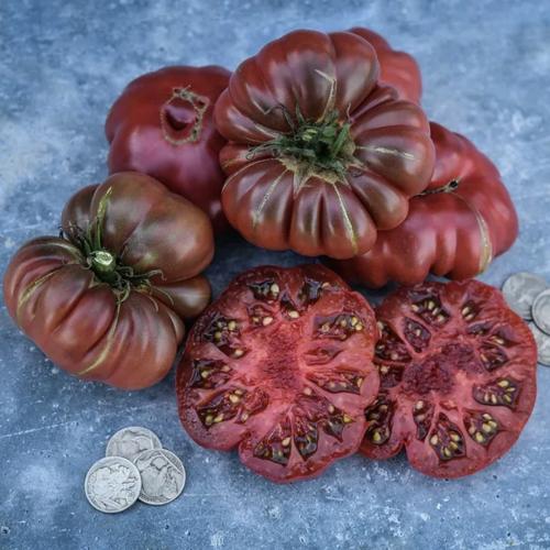 طماطم كالاباش الأرجوانية  - Purple Calabash Tomato