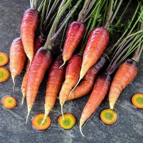 جزر فرنسي متدرج اللون - Longue Rouge Sang Carrot